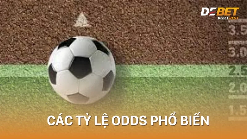 các tỷ lệ cách soi odds phổ biến