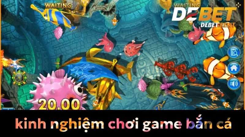 Vì sao kinh nghiệm chơi game bắn cá debet là cần thiết? 