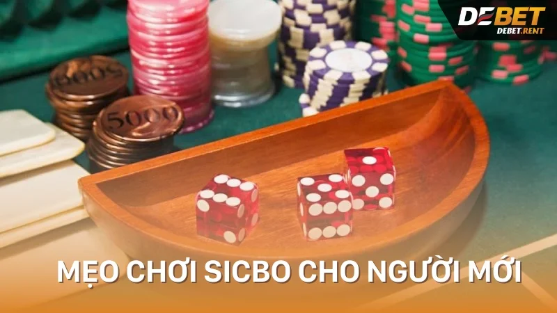 cách chơi sicbo cho người mới